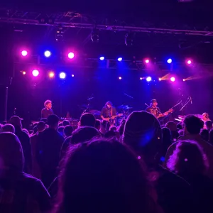 concert photo