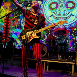 concert photo