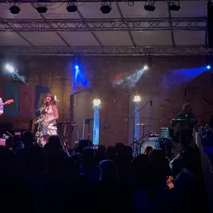 concert photo