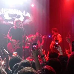 concert photo