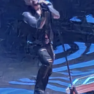 concert photo