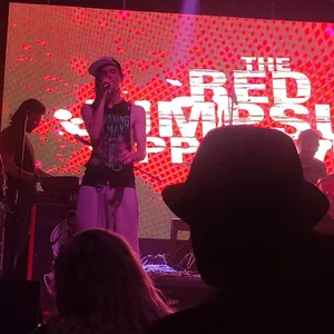 concert photo