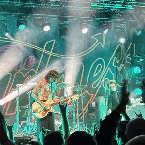 concert photo