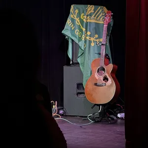 concert photo