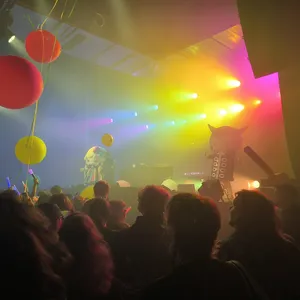 concert photo