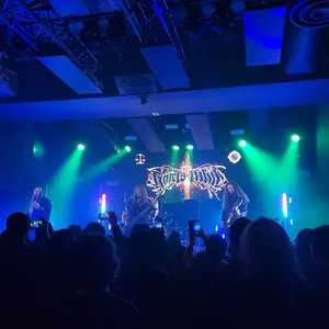 concert photo