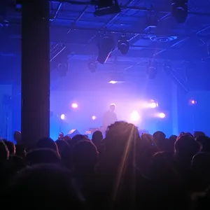 concert photo