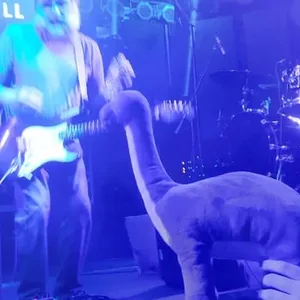 concert photo
