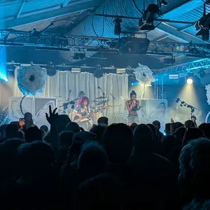 concert photo