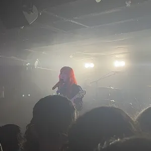 concert photo