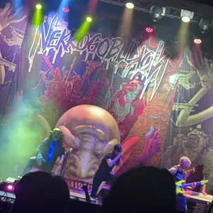 concert photo