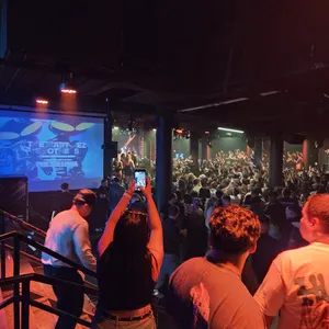 concert photo