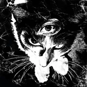 東京酒吐座(Tokyo shoegazer) Concerts & Live Tour Dates: 2026-2027