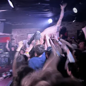 concert photo