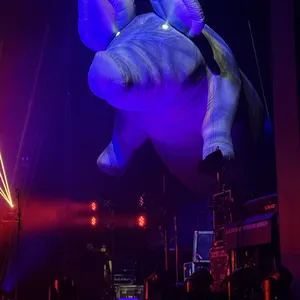 concert photo