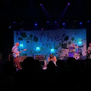 concert photo