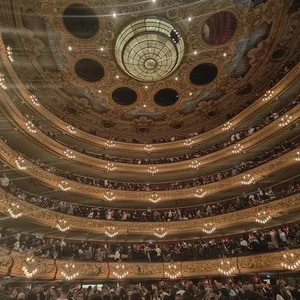 concert photo