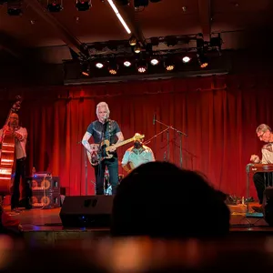 concert photo