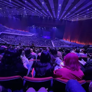 concert photo