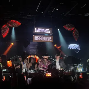 concert photo