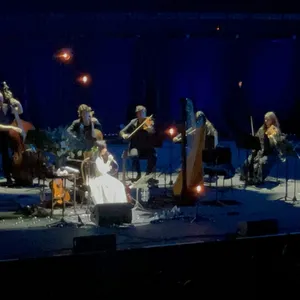 concert photo