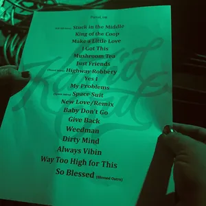 concert photo