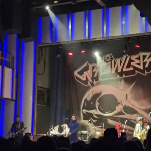 concert photo