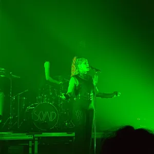 concert photo