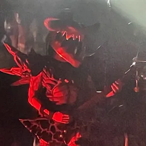concert photo