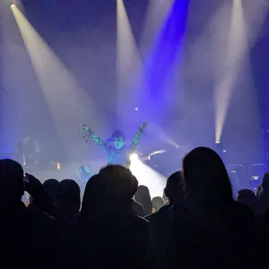 concert photo