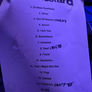 concert photo