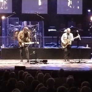 concert photo