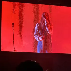 concert photo