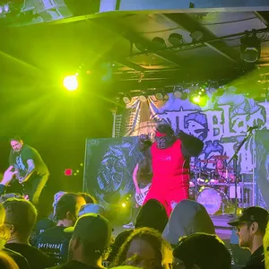 concert photo