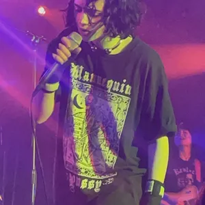 concert photo
