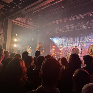 concert photo