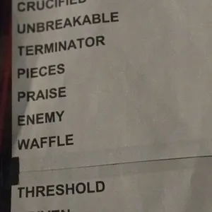concert photo
