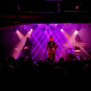 concert photo