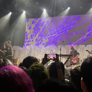 concert photo