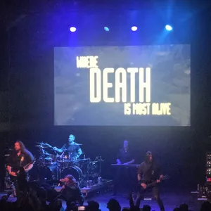 concert photo