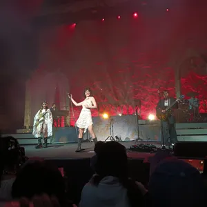 concert photo