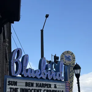 concert photo