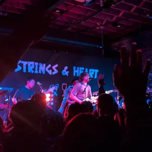 concert photo