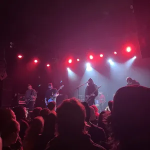 concert photo