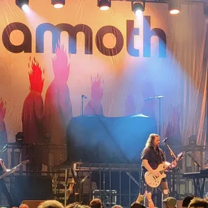 concert photo
