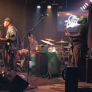 concert photo