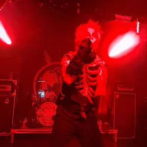 concert photo