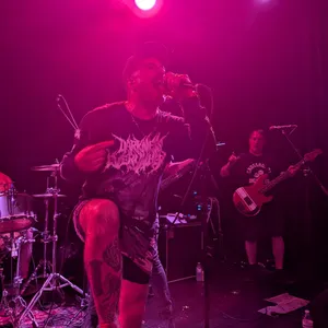 concert photo