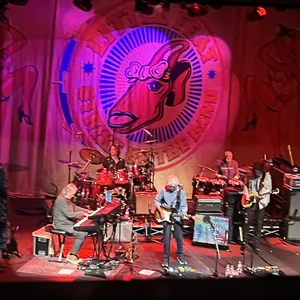 concert photo