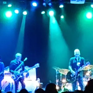 concert photo